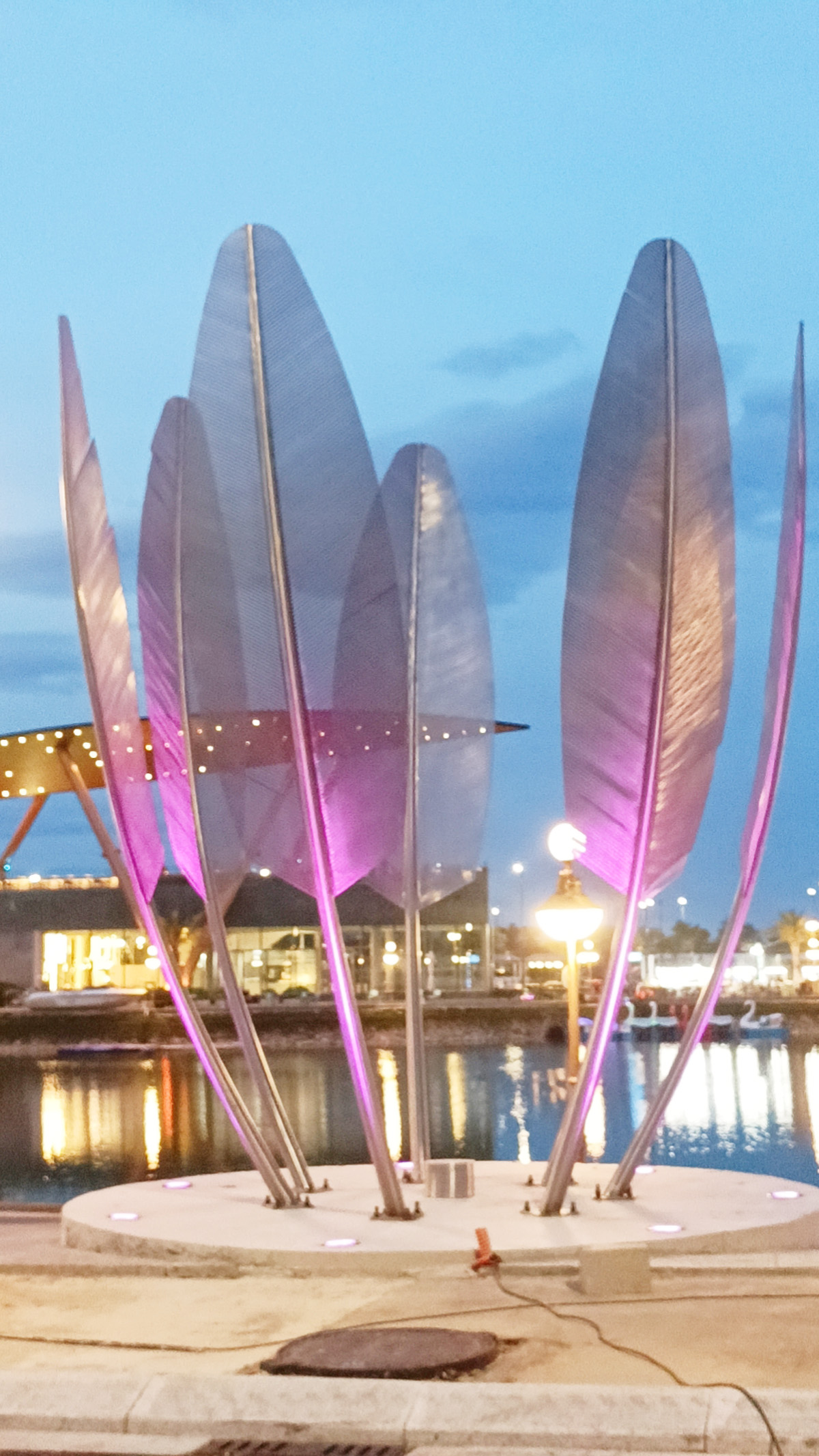 羽毛燈光裝置  定制